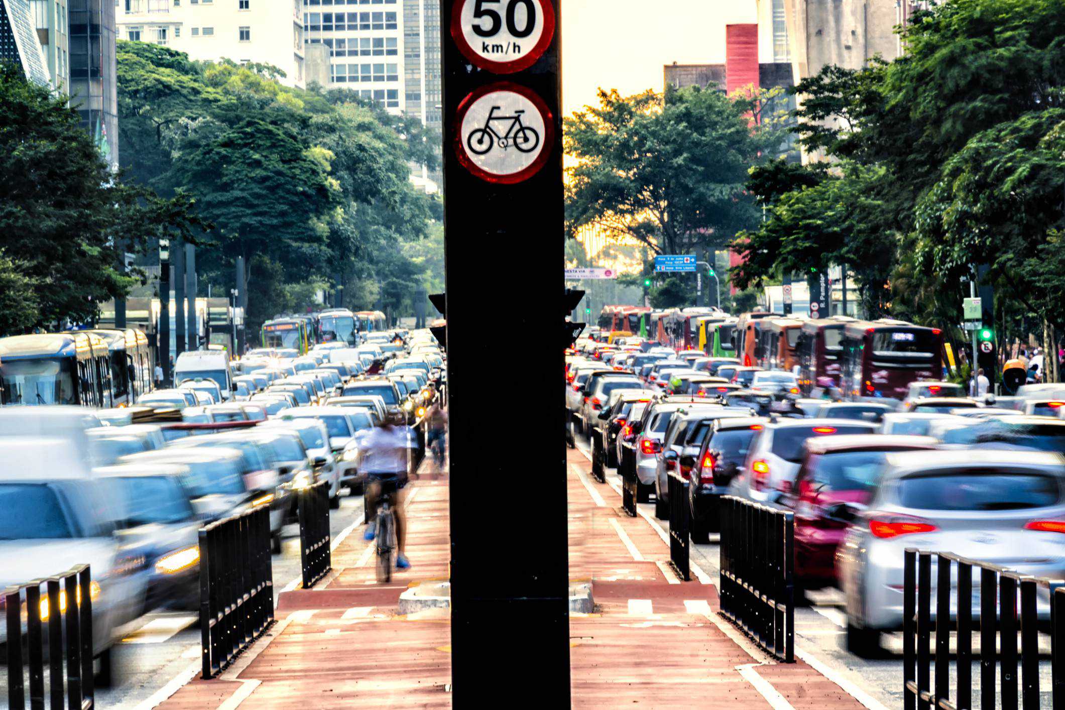 detran e denatran