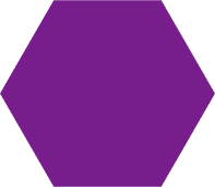 Polygon 2 1
